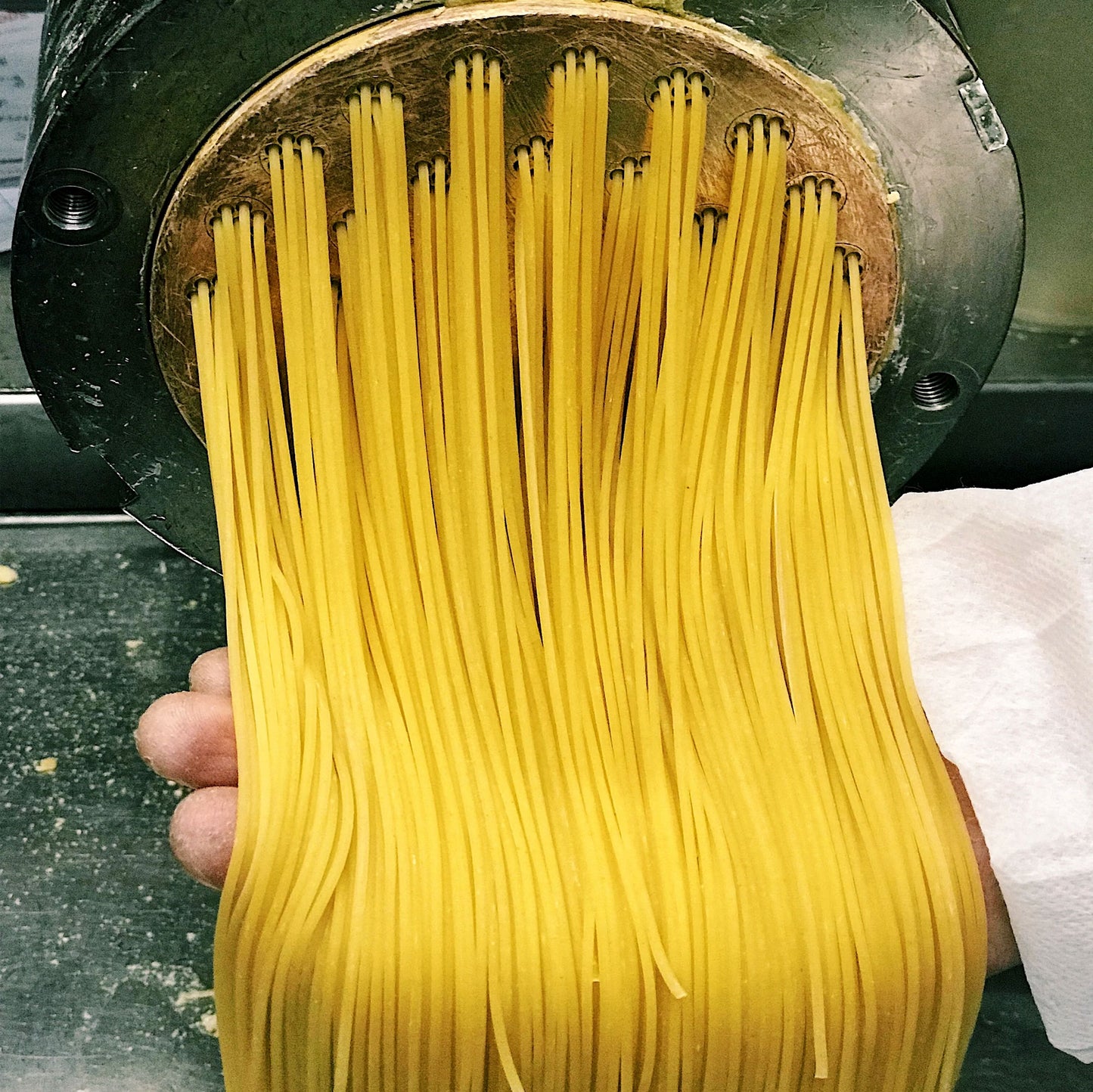 
                  
                    Egg Spaghetti No. 7 (Fresh Pasta) - 500g
                  
                
